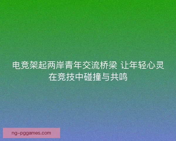 电竞架起两岸青年交流桥梁 让年轻心灵在竞技中碰撞与共鸣